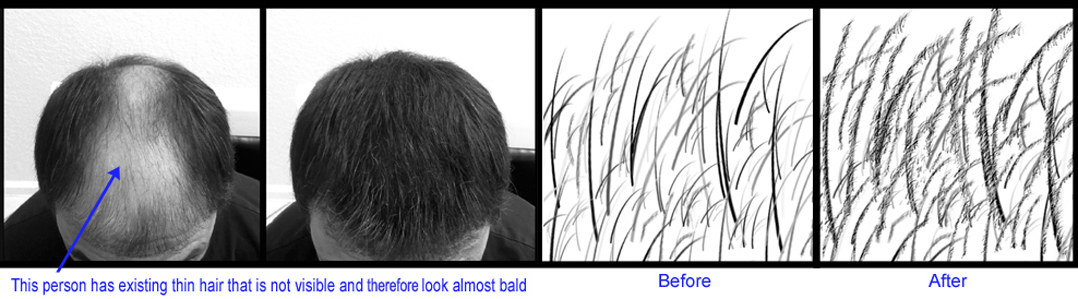 hair building fibers pictures before and  after